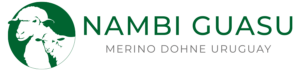 logotipo nambi original